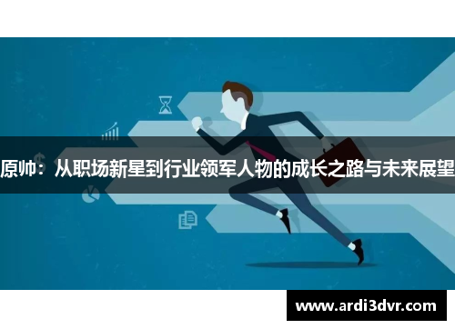 原帅：从职场新星到行业领军人物的成长之路与未来展望